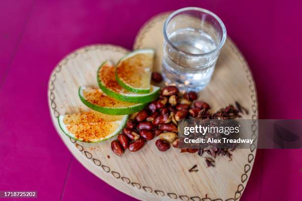 mezcal and grasshoppers - mezcal fotografías e imágenes de stock