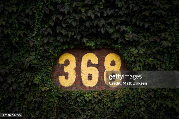 Details of the ivy on the outfield wall prior to a game between the Chicago Cubs and the San Francisco Giants at Wrigley Field on September 6, 2023...