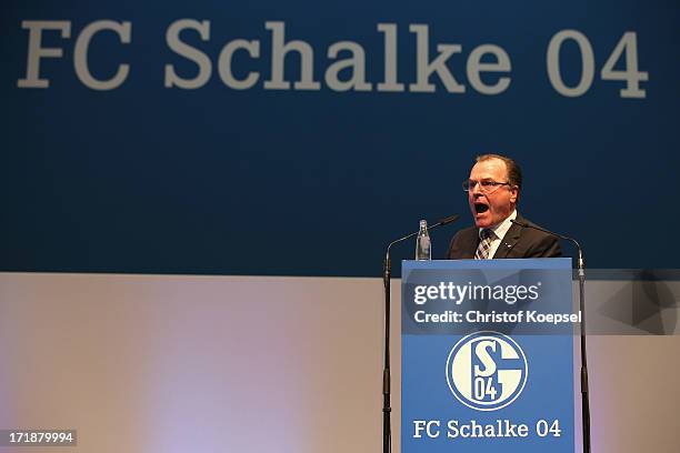 Chairman Clemens Toennies talks during the FC Schalke 04 annual meeting at Veltins Arena on June 29, 2013 in Gelsenkirchen, Germany.