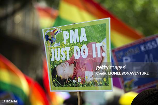 People parade during the homosexual, lesbian, bisexual and transgender visibility march, the Gay Pride, on June 29, 2013 in Paris, exactly one month...