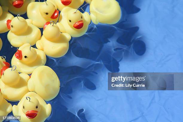 hook a rubber duck in paddling pool - rubber duck stock pictures, royalty-free photos & images