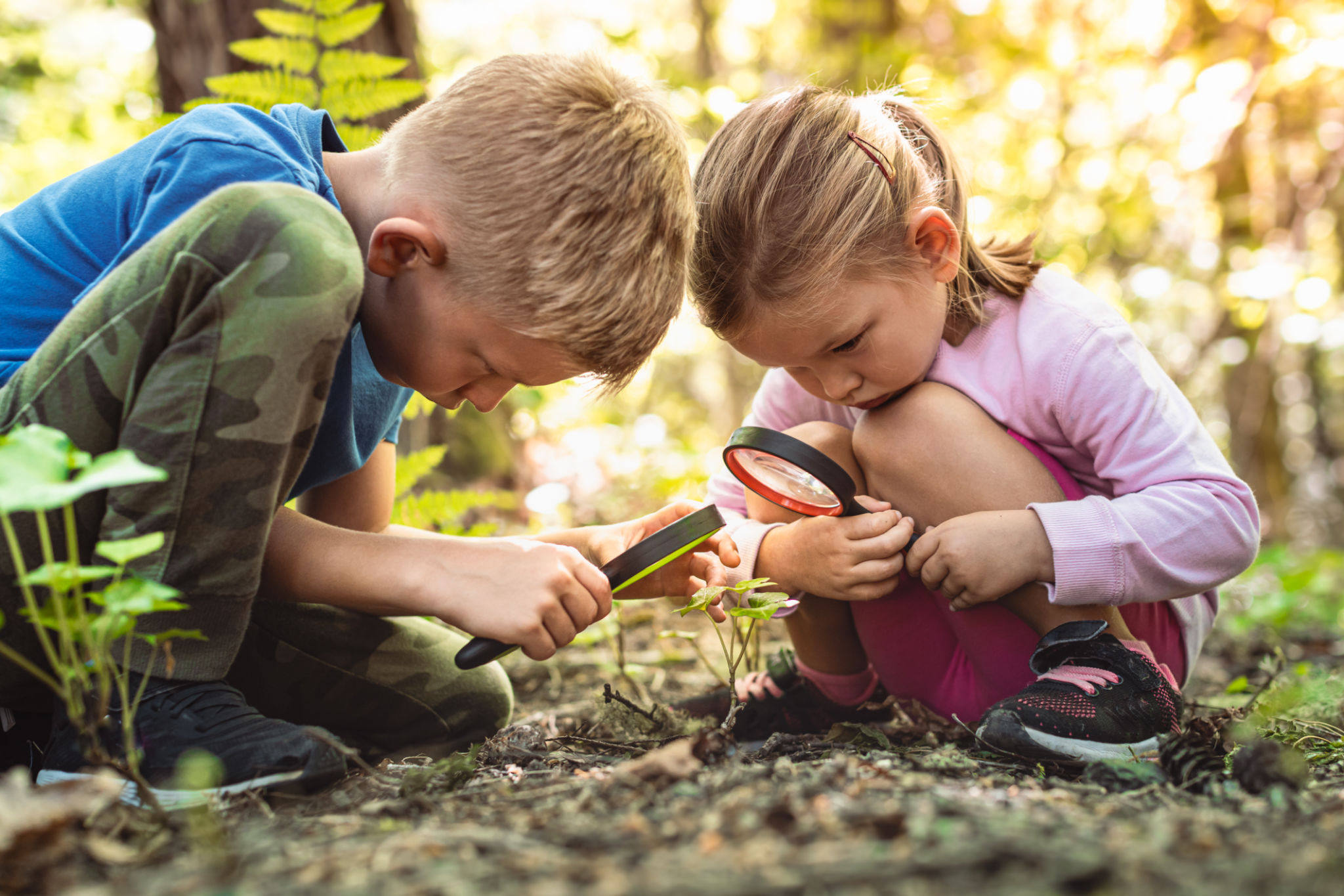 kids exploring nature