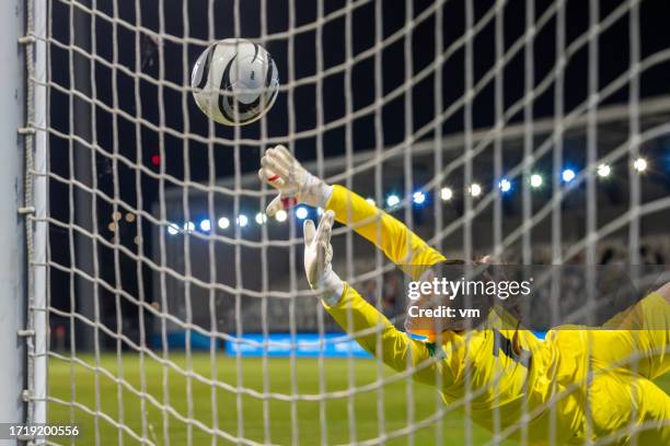 female soccer goalkeeper catching ball - goal net stock pictures, royalty-free photos & images