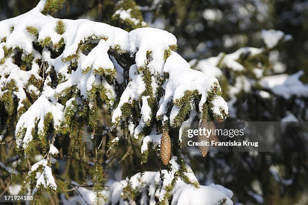 Traumhaft Winterliche Impressionen Am Bayerischen Wald .