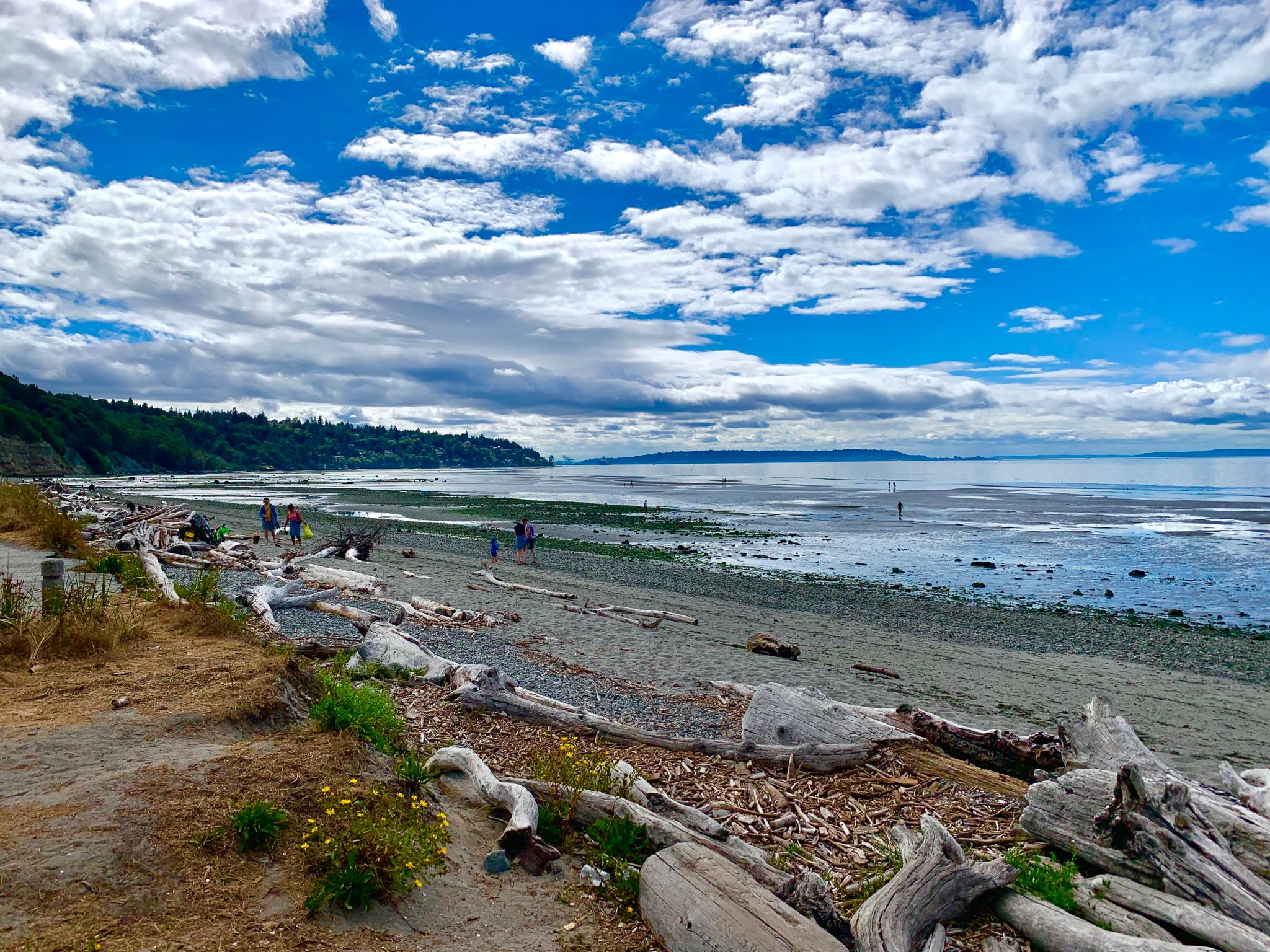 point washington preserve wedding