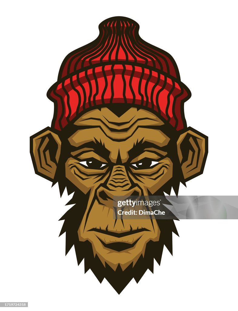 Gorilla head in red knitted hat. Ape, monkey head character mascot