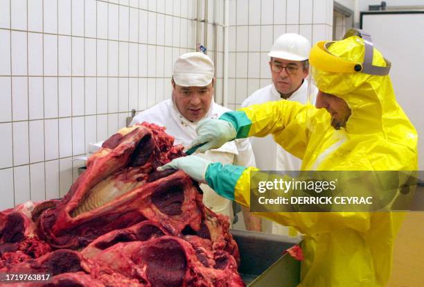 Un employé de l'abattoir de Bordeaux et un vétérinaire surveillent un prélèvement troencéphale sur la carcasse d'une vache abattue le 03 janvier 2001...