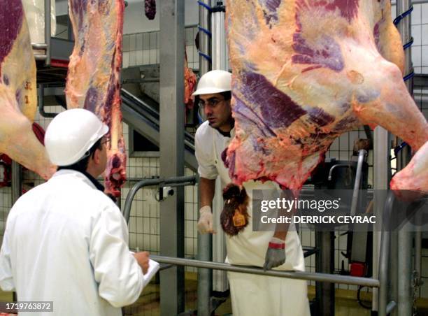Deux vétérinaires se consultent au milieu de carcasses de vaches le 03 janvier 2001 aux abattoirs de Bordeaux. Le dépistage systématique de...
