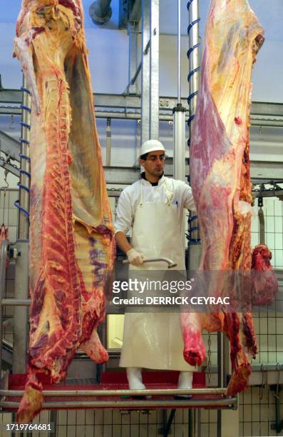 Un vétérinaire marque la carcasse d'une vache après examen visuel le 03 janvier 2001 aux abattoirs de Bordeaux. Le dépistage systématique de...