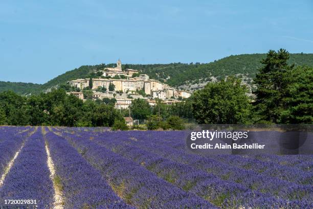 lavender - alpes de haute provence stockfoto's en -beelden