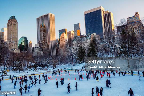 new york city winter - central park winter ストックフォトと画像