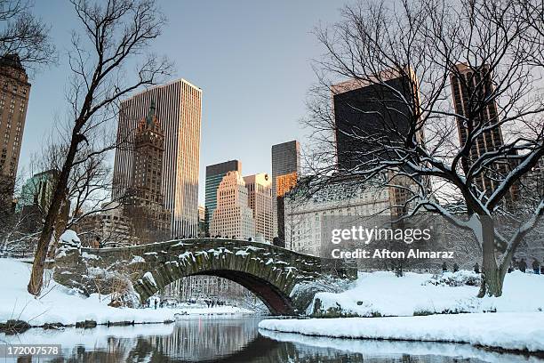 new york city winter - central park manhattan fotografías e imágenes de stock