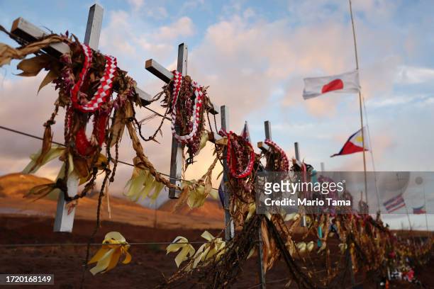 Crosses are displayed at a public memorial to wildfire victims on October 05, 2023 in Lahaina, Hawaii. The wind-whipped wildfire on August 8th killed...