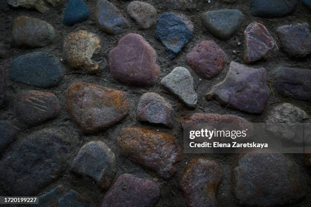 Polychrom Floor 561 Polychrome Marble Floor Stock Photos, High-Res Pictures, and Images ...