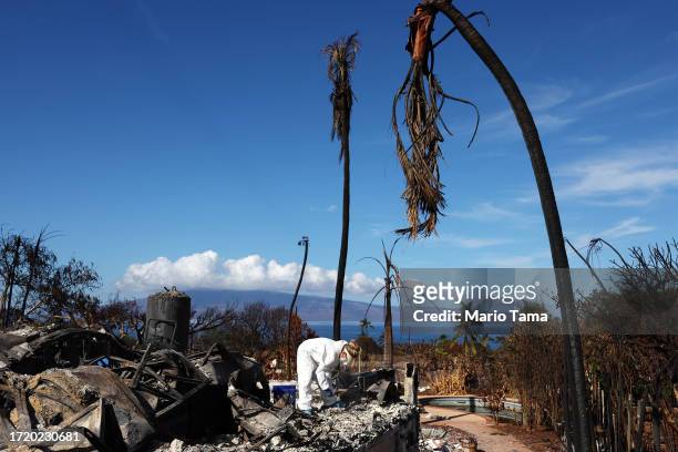 Displaced resident Lori Brodeur searches for personal items at the wildfire destroyed home where she lived on October 05, 2023 in Lahaina, Hawaii....
