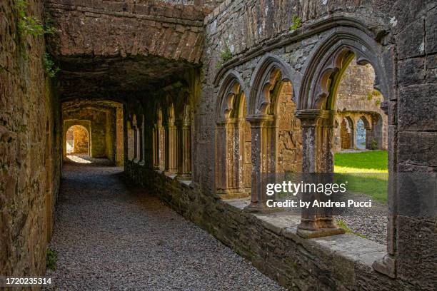 bective abbey, county meath, ireland - county meath stock pictures, royalty-free photos & images