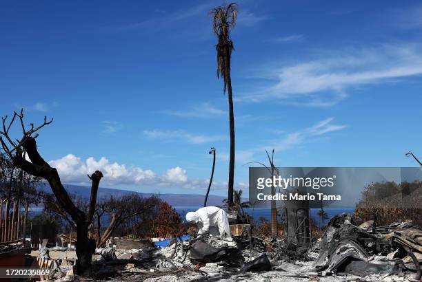 Displaced resident William Anthony searches for personal items at the wildfire destroyed home where he lived on October 05, 2023 in Lahaina, Hawaii....