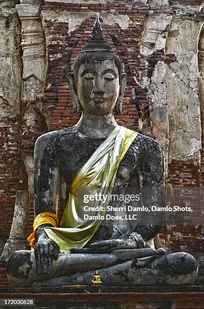 sitting buddha - damlo does - fotografias e filmes do acervo