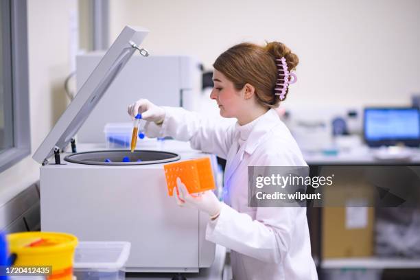 female scientist in lab coat carefully loading tubes in a centrifuge in a laboratory - centrifuge stock pictures, royalty-free photos & images