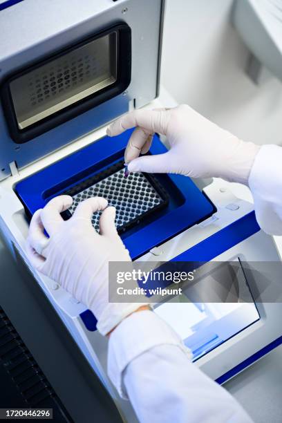 hands in gloves preparing tests with pipette for lab shaker - laboratory shaker stock pictures, royalty-free photos & images