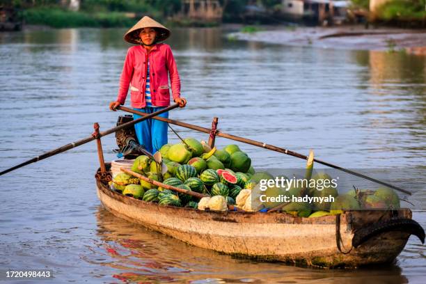 mujer vietnamita vendiendo frutas en flotante mercado, delta del río mekong, vietnam - mekong fotografías e imágenes de stock