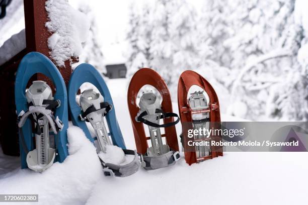 snowshoes for hiking in the snowy winter scenery - snowshoeing fotografías e imágenes de stock