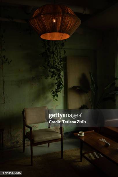 green room and plant - the green room stock pictures, royalty-free photos & images