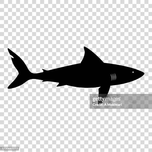 shark icon. - spoiler stock illustrations