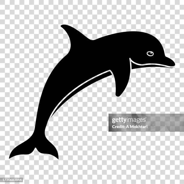dolphin icon. - aquatic mammal stock illustrations