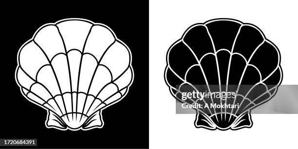 shell icon. - conch shell white background stock illustrations