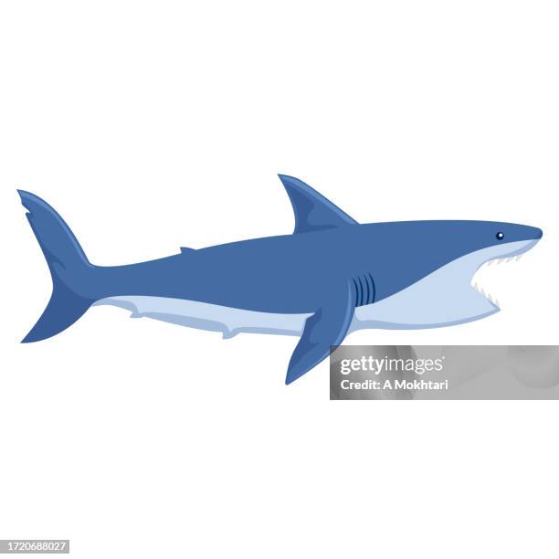 hai-illustration mit offenem mund. - flosse stock-grafiken, -clipart, -cartoons und -symbole