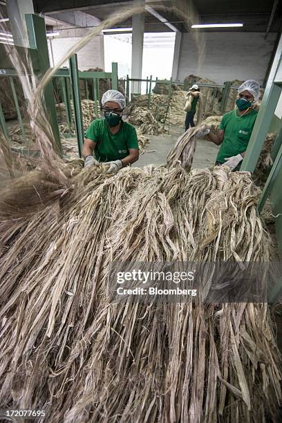 Jute Processing 232 Jute Processing Stock Photos, High-Res Pictures, and Images - Getty ...