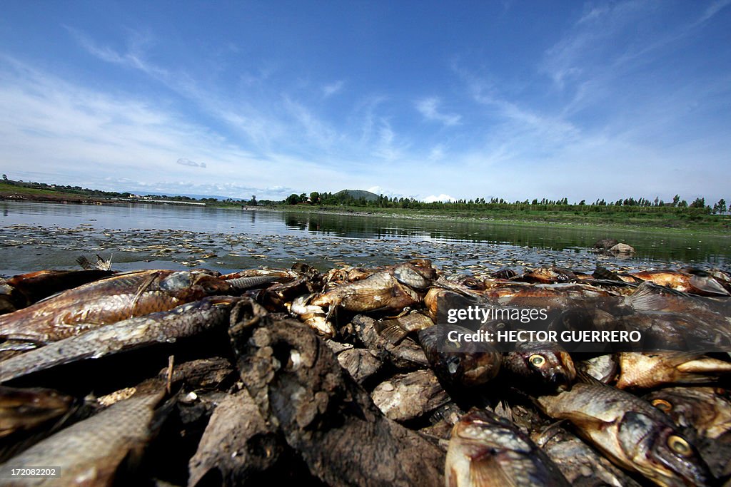 MEXICO-POLLUTION-FISH