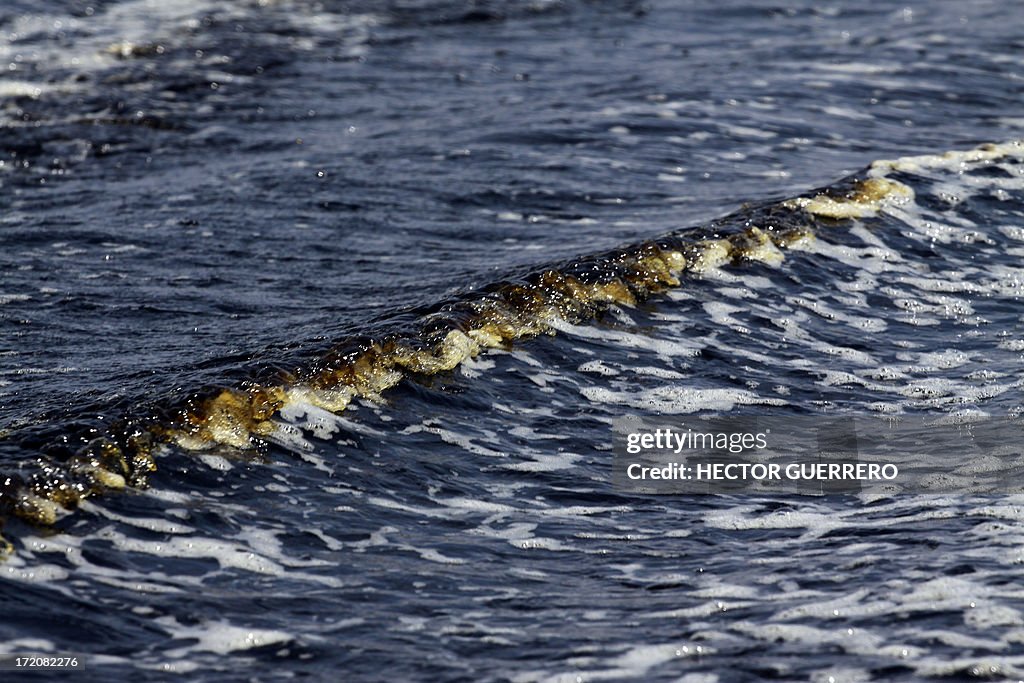 MEXICO-POLLUTION-FISH