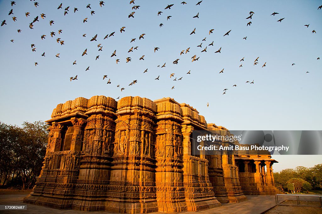 Flock of birds flying at sunset over Temple, India