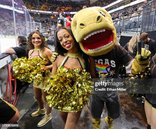 2,333 Vegas Golden Knights Cheerleader Stock Photos, High-Res Pictures, and Images - Getty Images