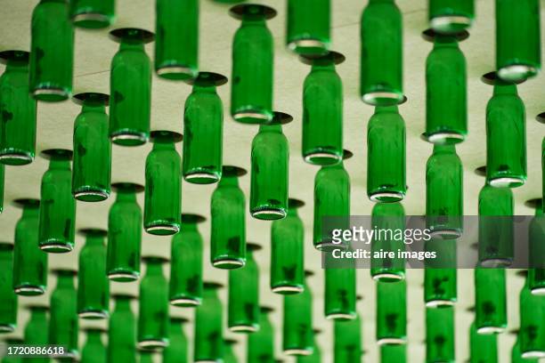 group of decorative green beer bottles in a row on the ceiling of some unmanned bar, low angle view - champagner gläser mit flasche unscharfer hintergrund stock-fotos und bilder