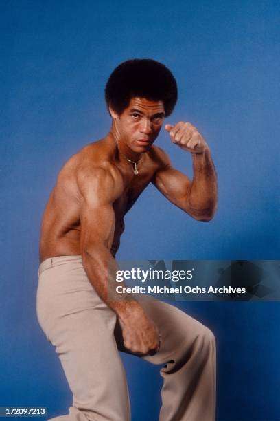 Karate champion and actor Jim Kelly poses for a portrait for Right On! Magazine on October 11, 1979 in Los Angeles, California.