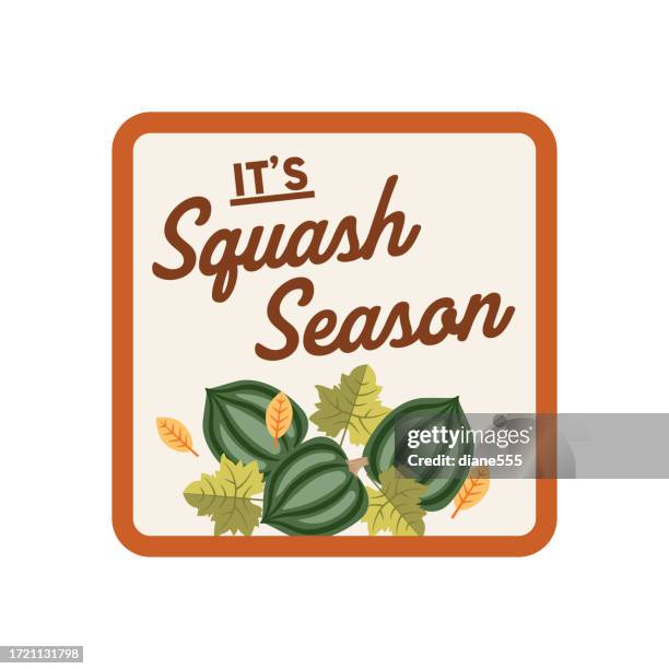 cute fall cartoon sticker label - it's squash season - acorn squash stock illustrations