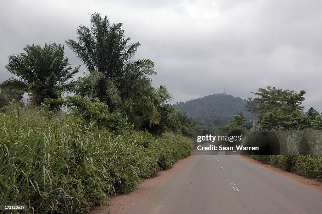 Jungle l'autoroute