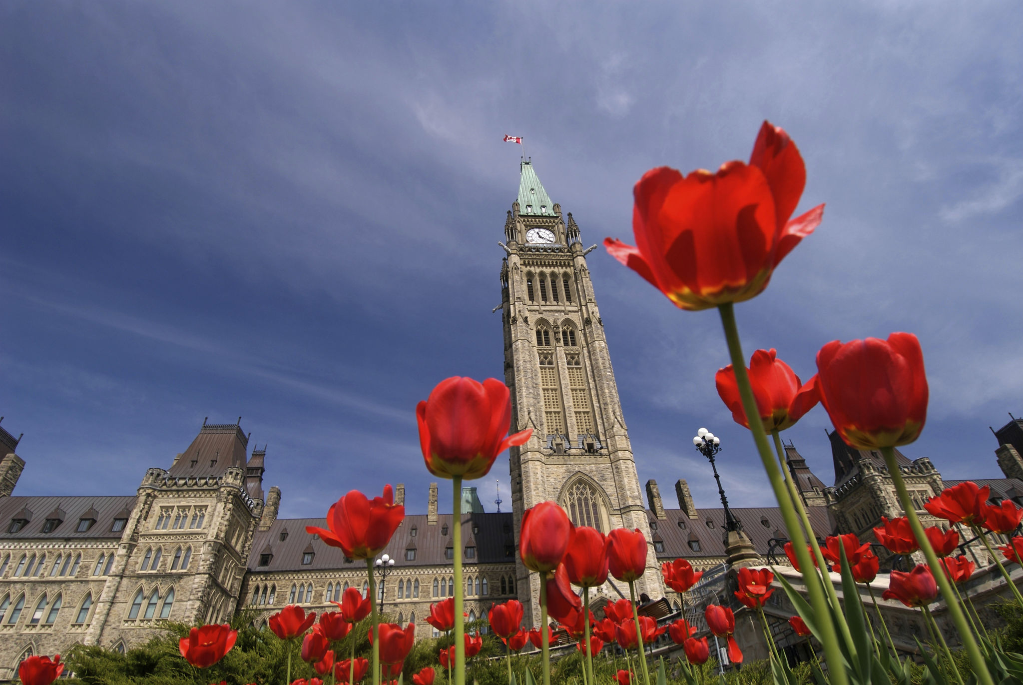 canadian festival