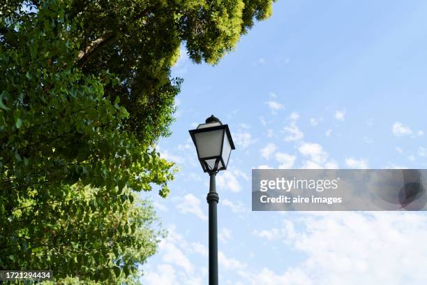 low angle front view of a lamp on a pole in a park on a sunny day surrounded by trees - street light lamp stock pictures, royalty-free photos & images