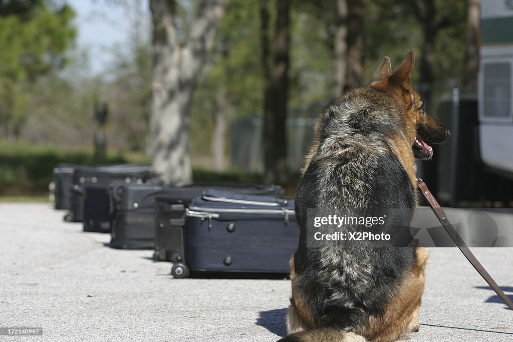 Searching for Contraband