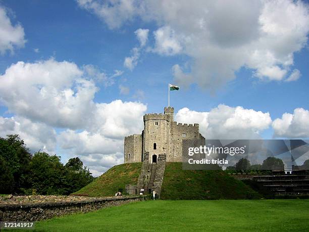 cardiff castle - cardiff wales stock pictures, royalty-free photos & images