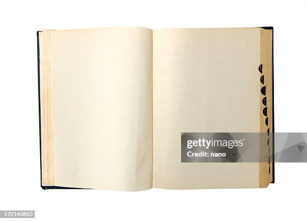 blank dictionary - dictionary page stock pictures, royalty-free photos & images