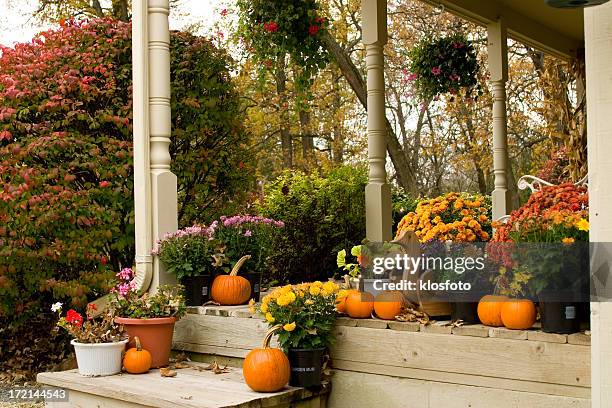 porche con flores de otoño - chrysanthemum fotografías e imágenes de stock