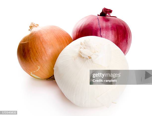 isolated onions - onion stock pictures, royalty-free photos & images