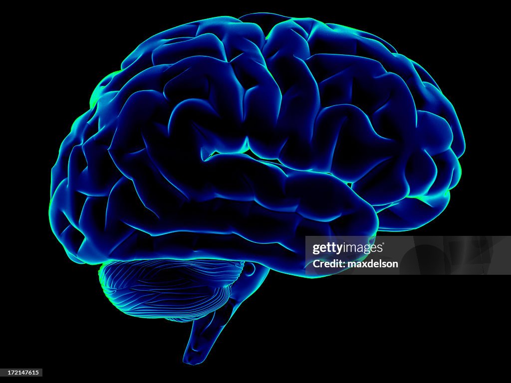Scanning of a human brain