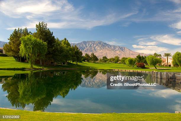 palm springs golf course - palm springs california pool stock pictures, royalty-free photos & images