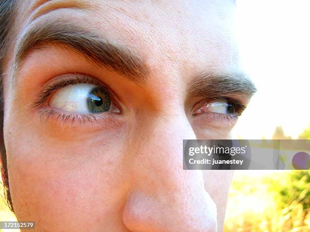 suspect les yeux - sourcils photos et images de collection